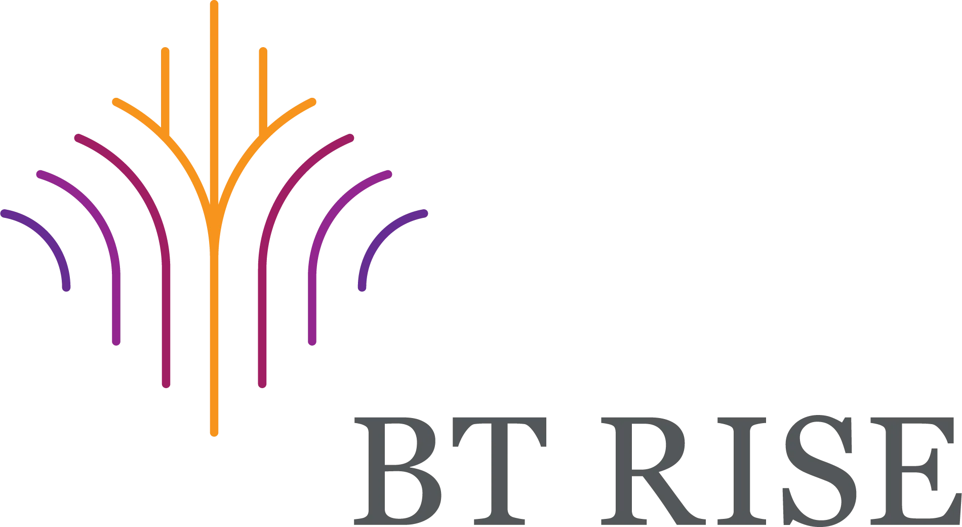 BTRISE_Logo_Horizontal_4Ccopy-1920w